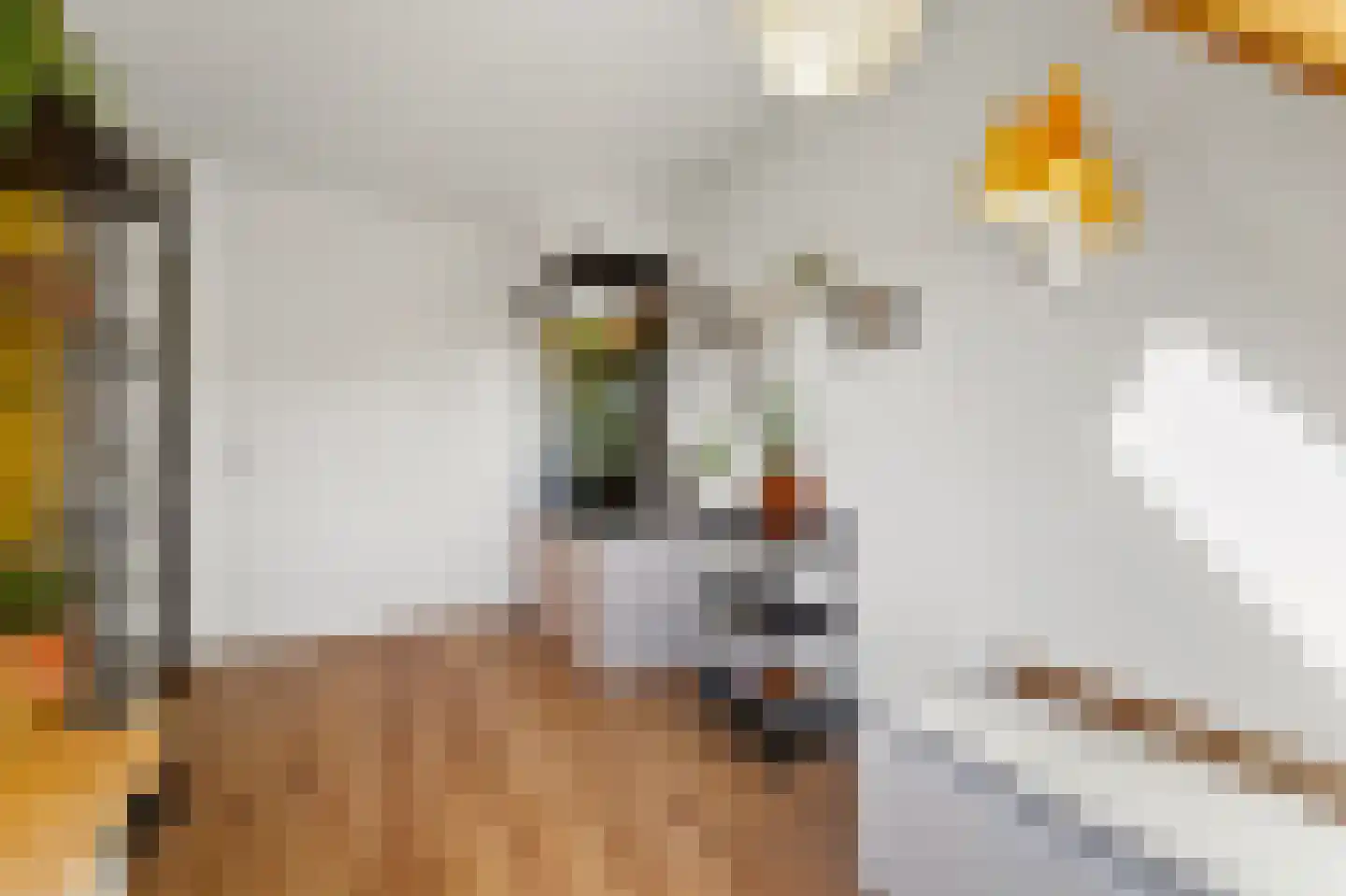 Voordijkshoorn 2 Den Hoorn thumbnail 48