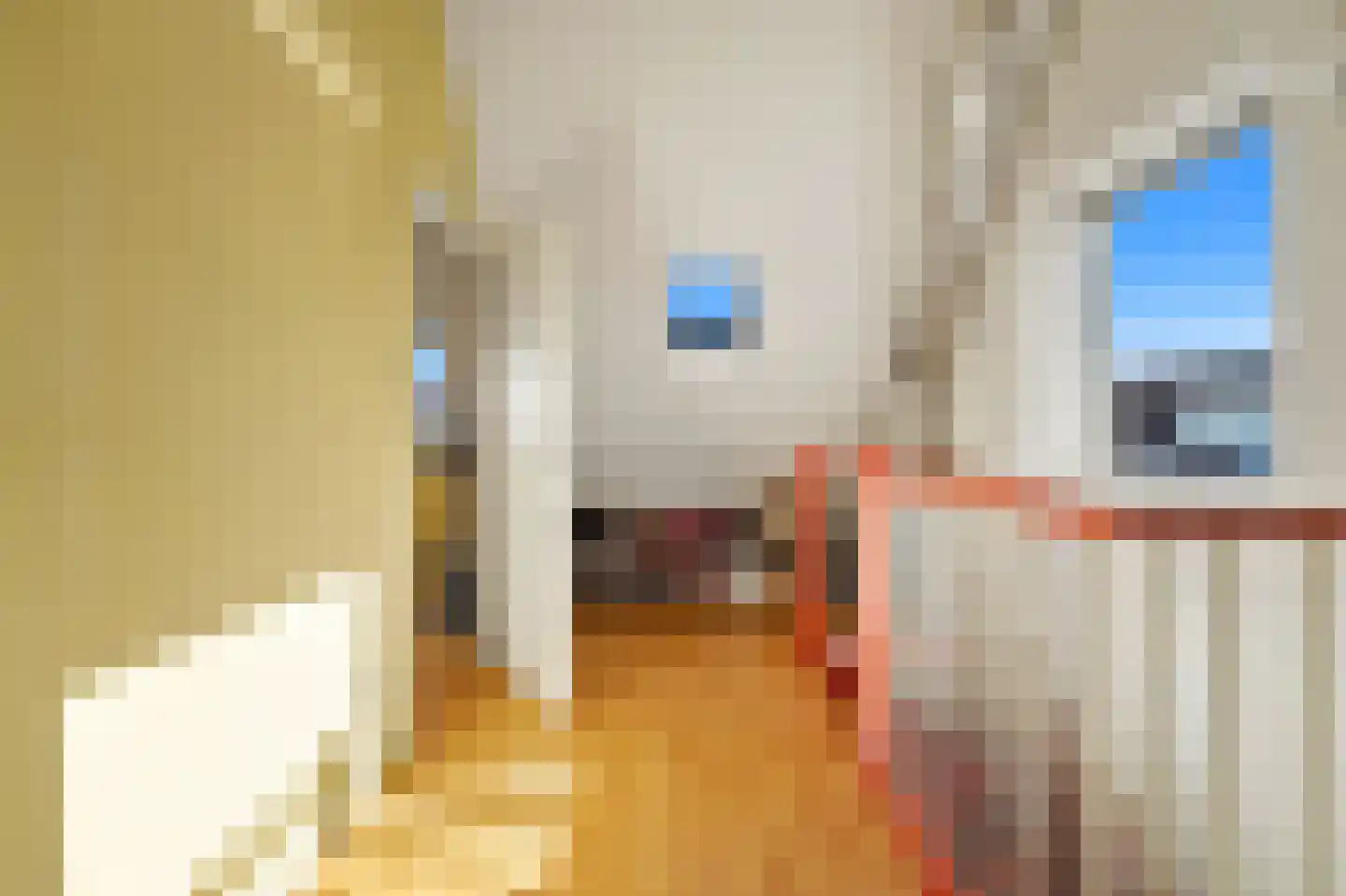 Voordijkshoorn 2 Den Hoorn thumbnail 52