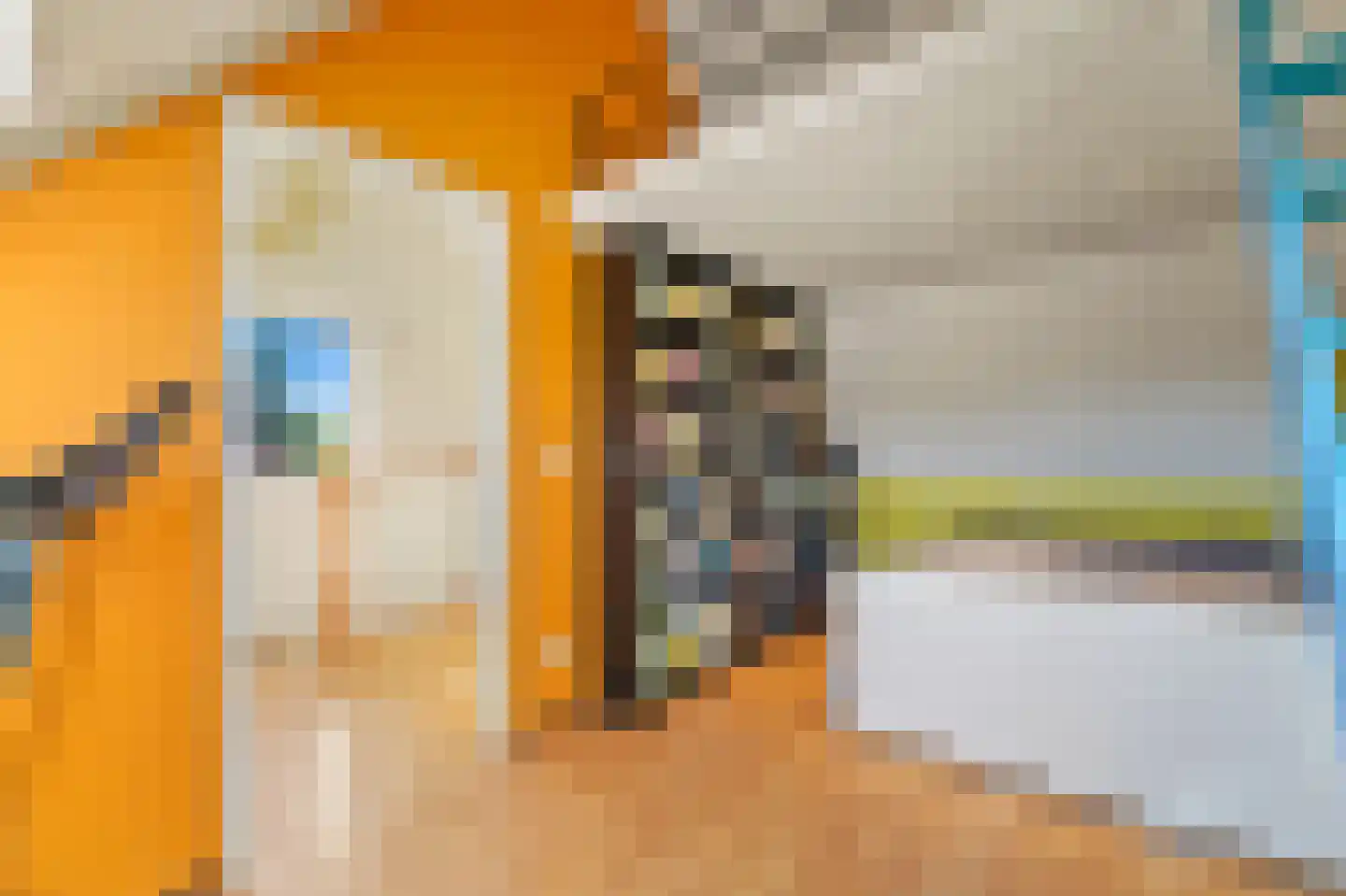 Voordijkshoorn 2 Den Hoorn thumbnail 53