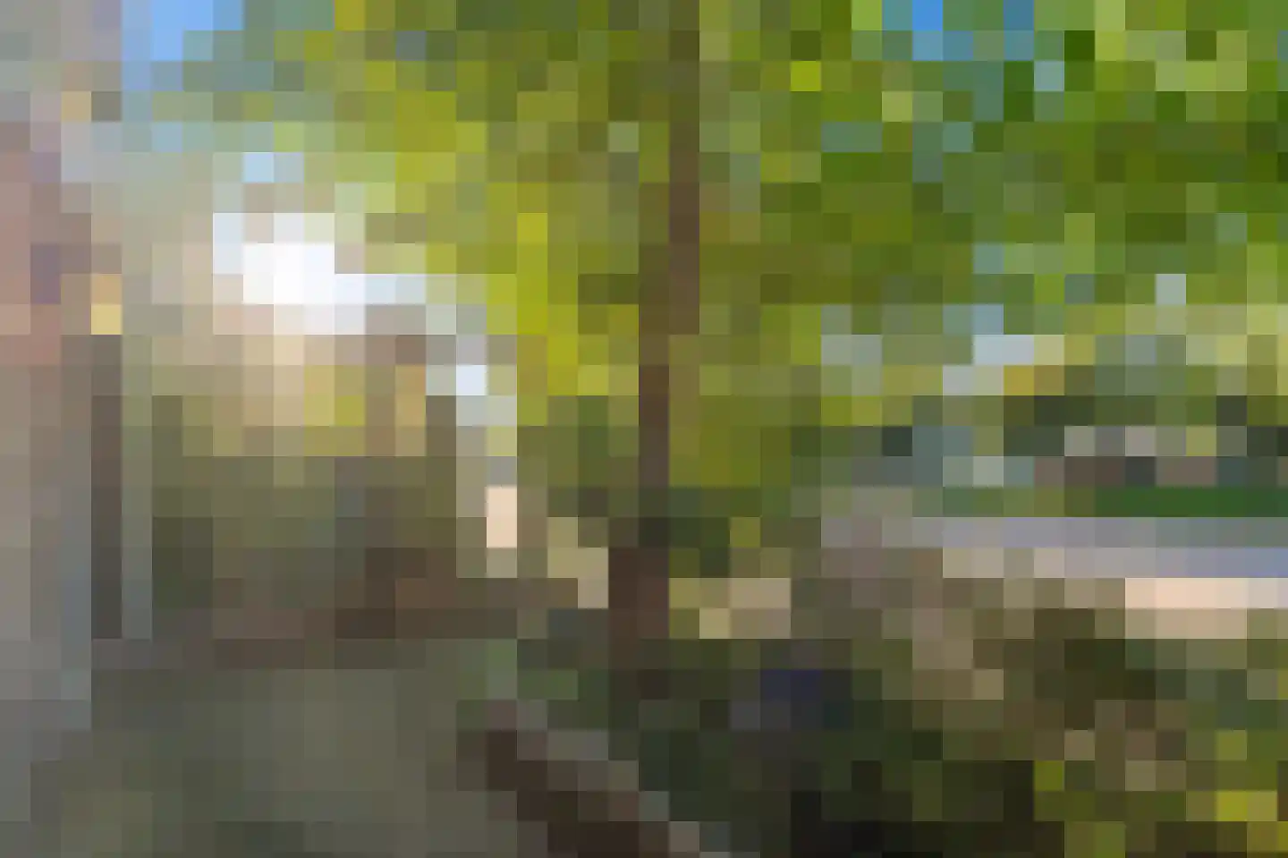 Voordijkshoorn 2 Den Hoorn thumbnail 57