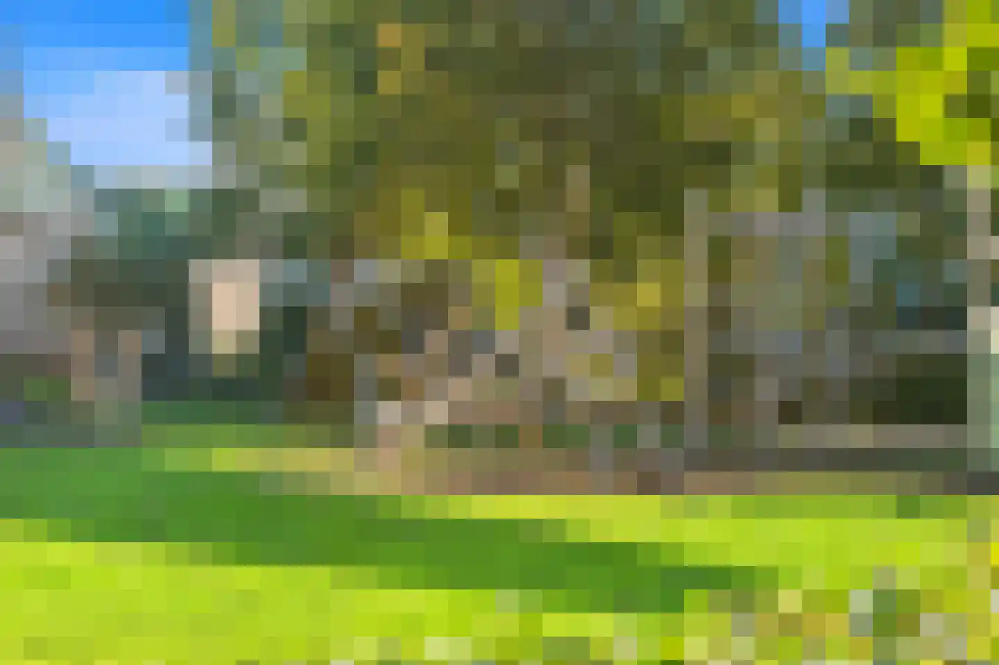 Voordijkshoorn 2 Den Hoorn thumbnail 59