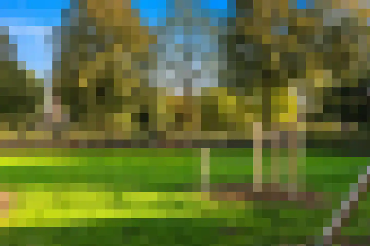 Voordijkshoorn 2 Den Hoorn thumbnail 61