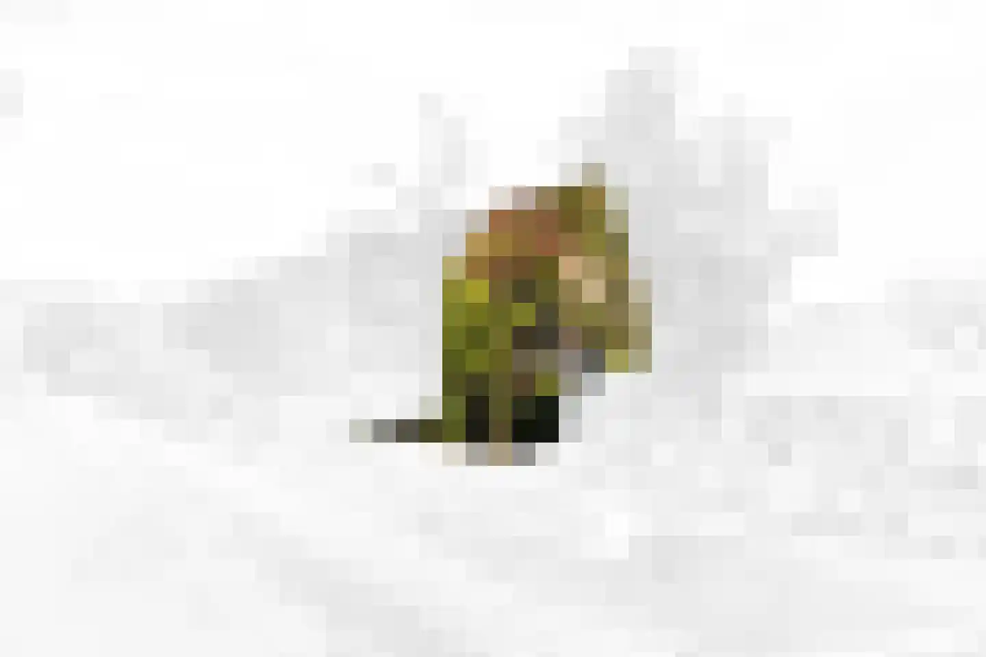 Voordijkshoorn 2 Den Hoorn thumbnail 8