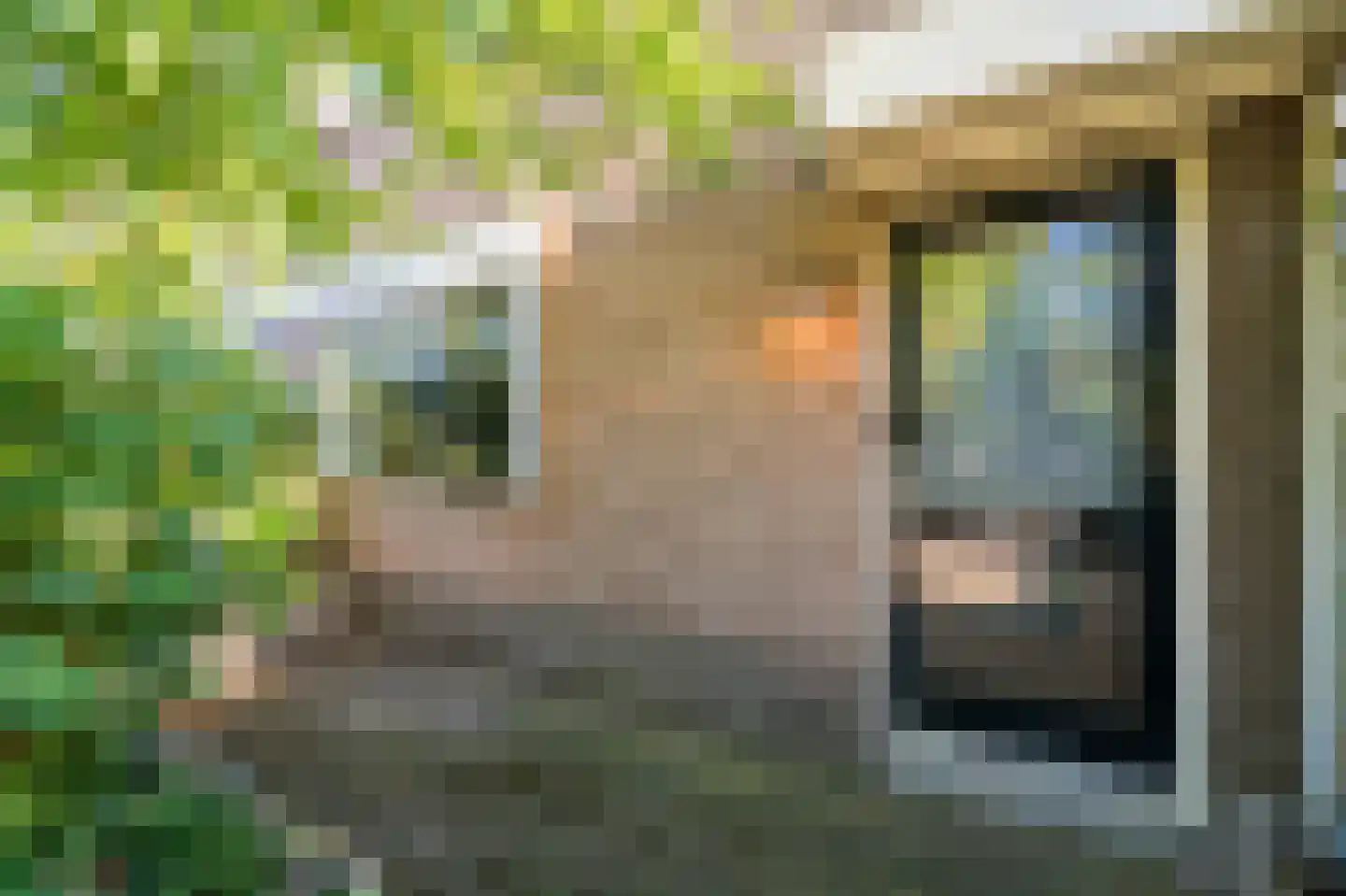 Voordijkshoorn 2 Den Hoorn thumbnail 9