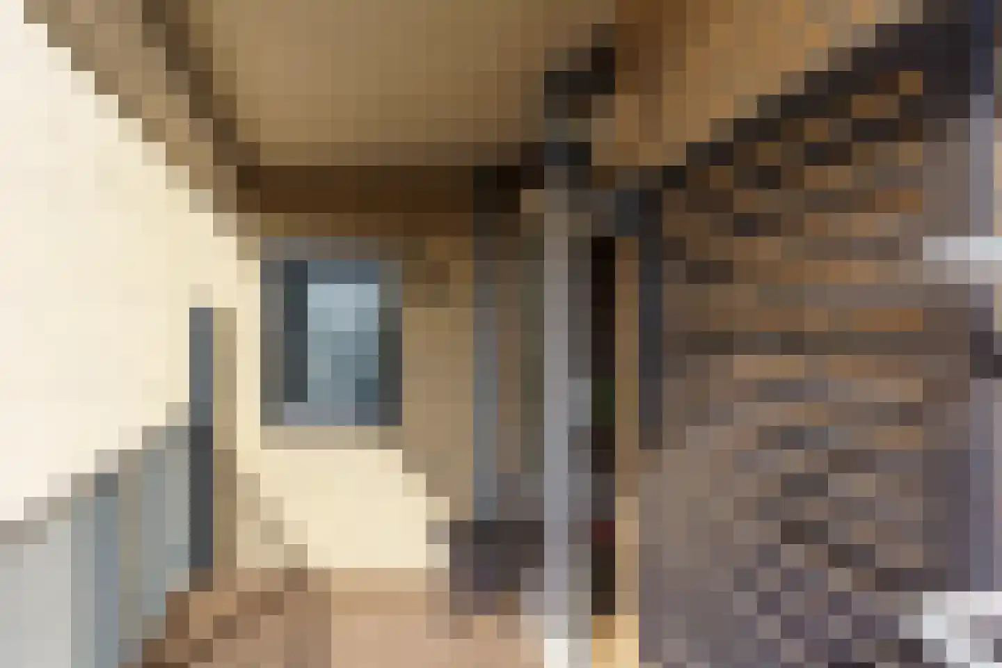 Voordijkshoorn 27 Den Hoorn thumbnail 10