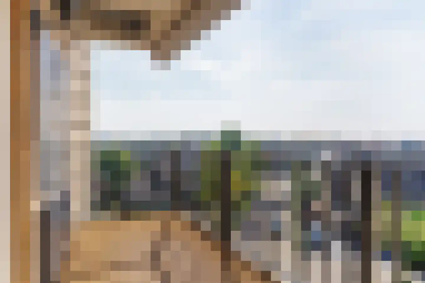 Voordijkshoorn 27 Den Hoorn thumbnail 11