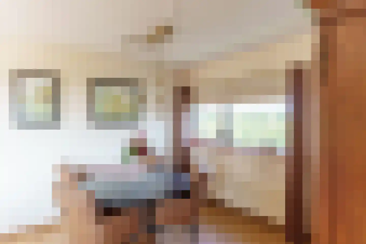 Voordijkshoorn 27 Den Hoorn thumbnail 16