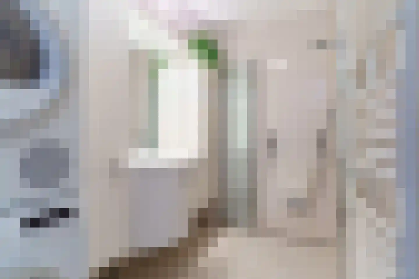 Voordijkshoorn 27 Den Hoorn thumbnail 21