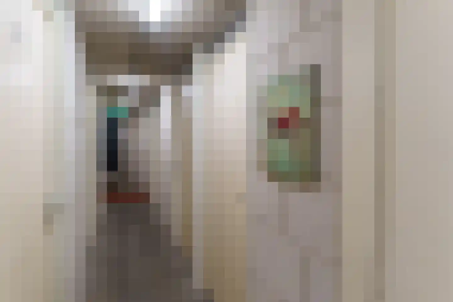 Voordijkshoorn 27 Den Hoorn thumbnail 28