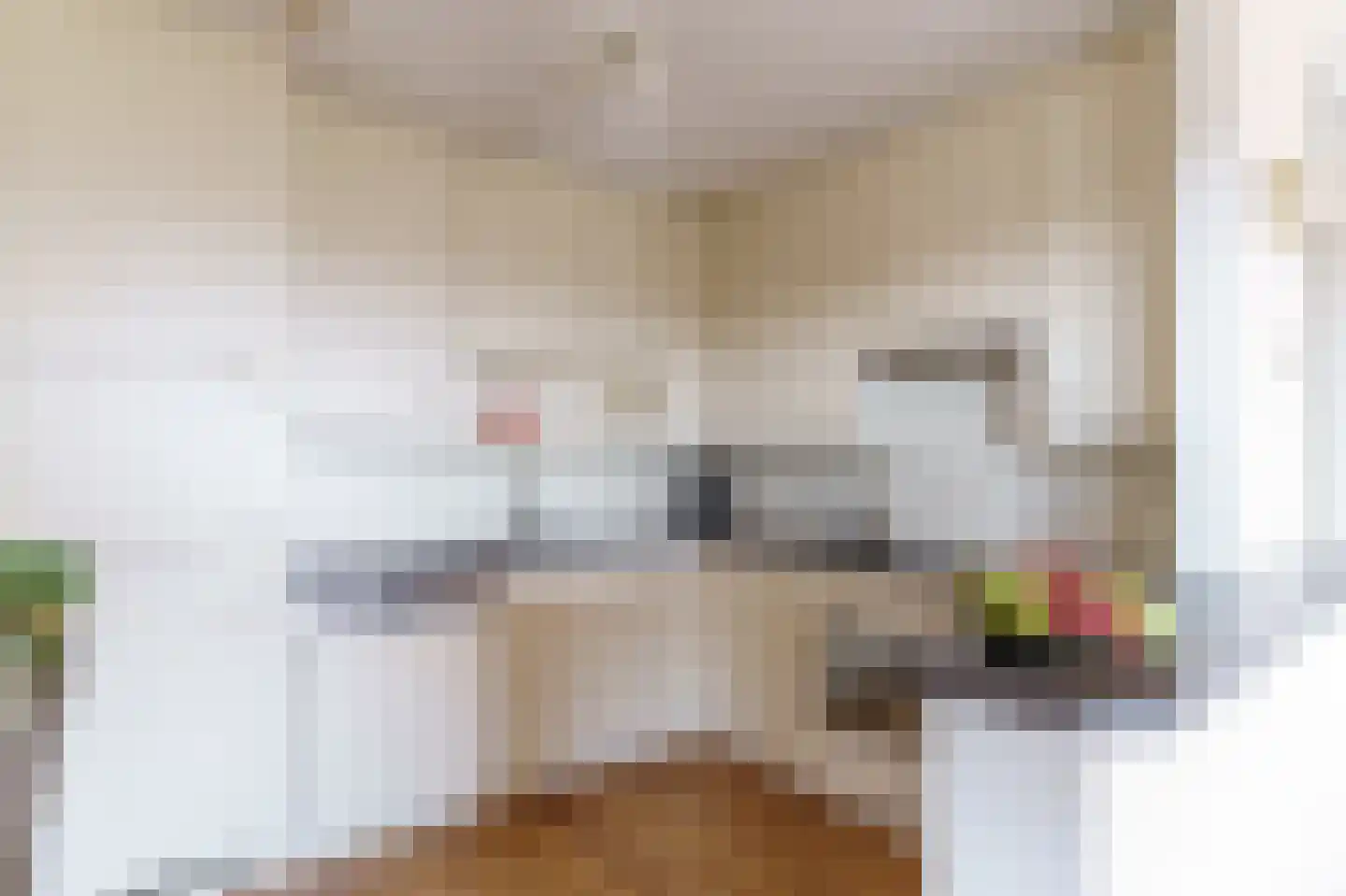 Voordijkshoorn 27 Den Hoorn thumbnail 9