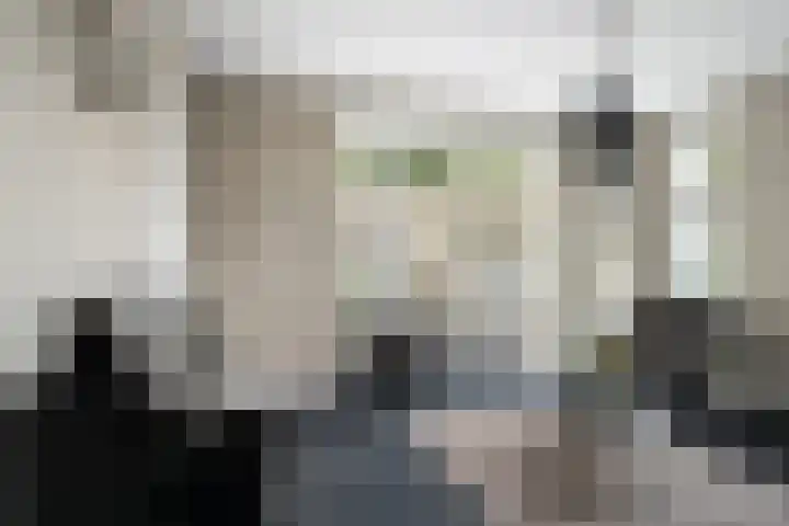 Voordoel 23 Nieuw-Beijerland thumbnail 15