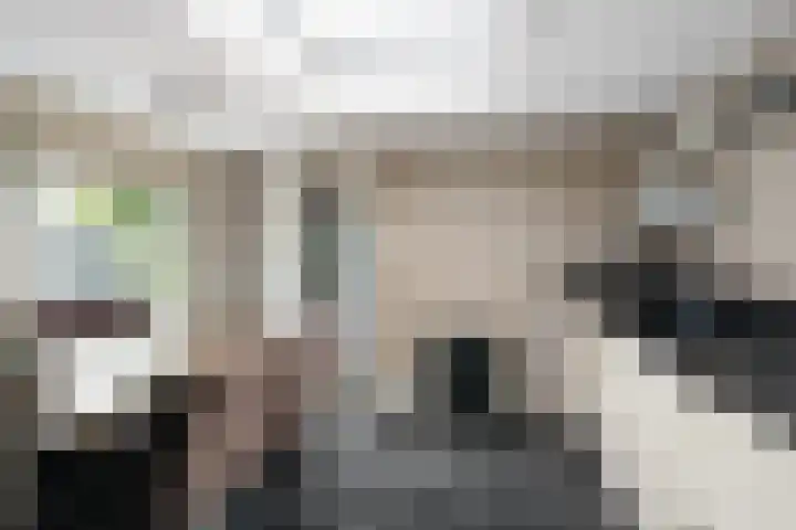 Voordoel 23 Nieuw-Beijerland thumbnail 18