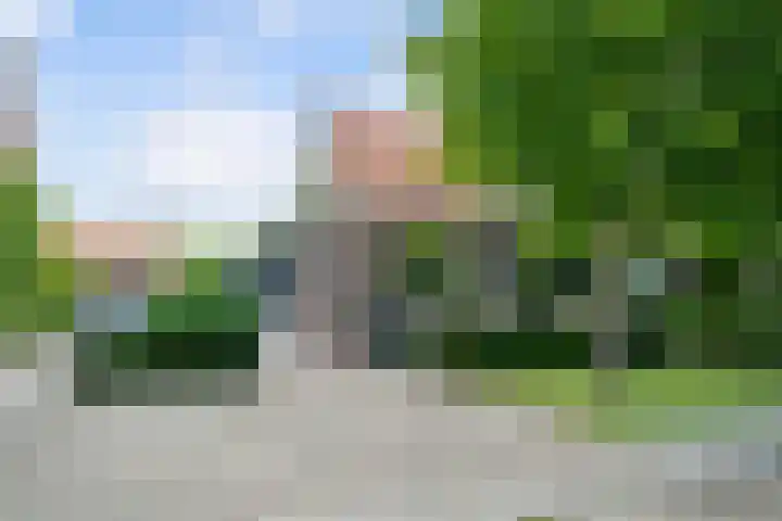 Voordoel 23 Nieuw-Beijerland thumbnail 6