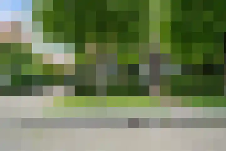 Voordoel 23 Nieuw-Beijerland thumbnail 9