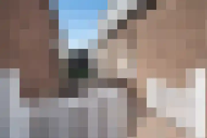 Voordoel 24 Nieuw-Beijerland thumbnail 10