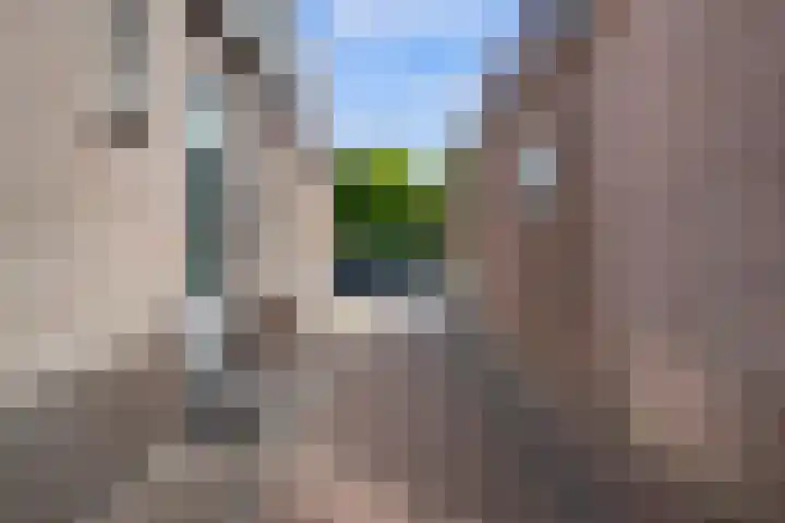 Voordoel 24 Nieuw-Beijerland thumbnail 11