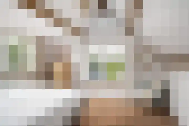 Voordoel 24 Nieuw-Beijerland thumbnail 25