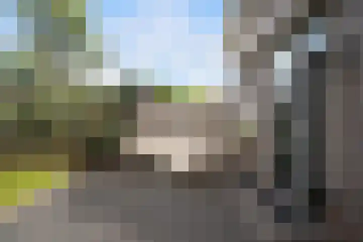 Voordoel 24 Nieuw-Beijerland thumbnail 34