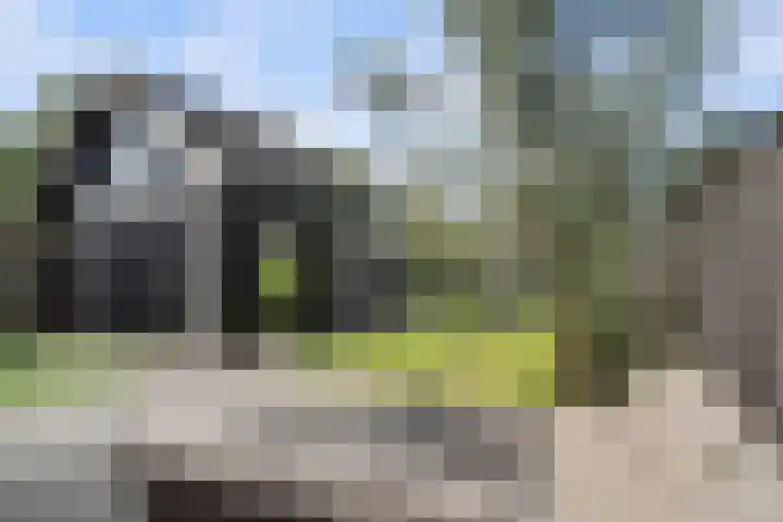 Voordoel 24 Nieuw-Beijerland thumbnail 35