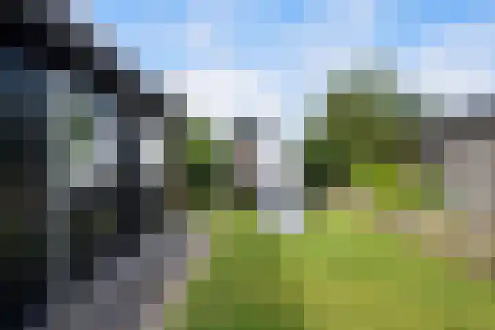 Voordoel 24 Nieuw-Beijerland thumbnail 36