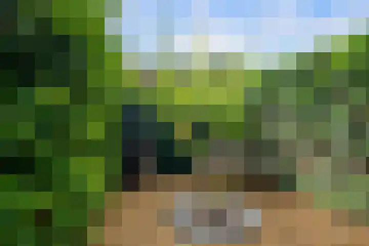 Voordoel 24 Nieuw-Beijerland thumbnail 37