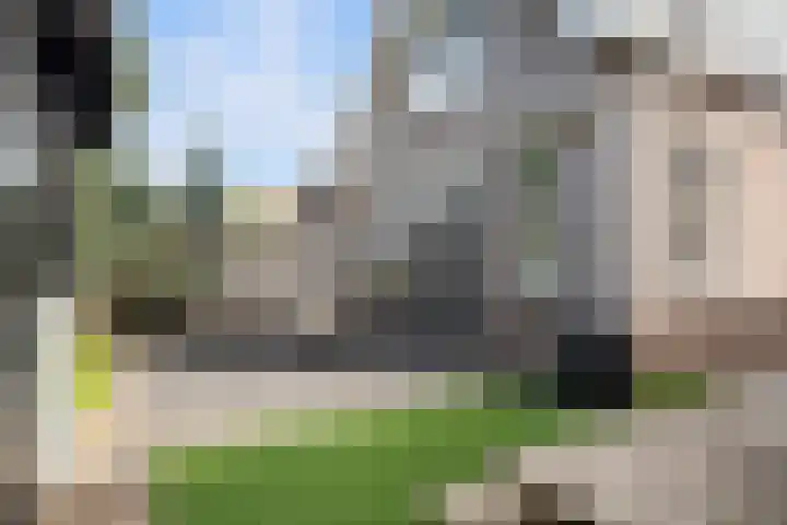 Voordoel 24 Nieuw-Beijerland thumbnail 41