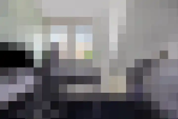 Voordoel 25 Nieuw-Beijerland thumbnail 26