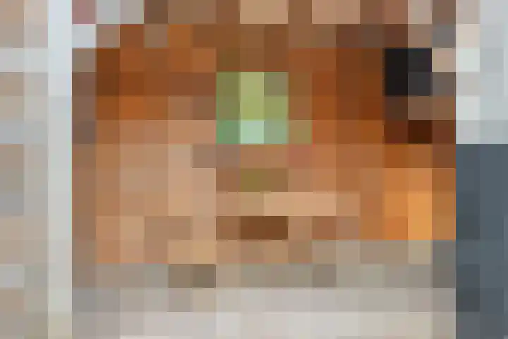 Voordoel 25 Nieuw-Beijerland thumbnail 30