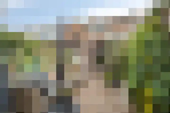 Voordoel 25 Nieuw-Beijerland thumbnail 31