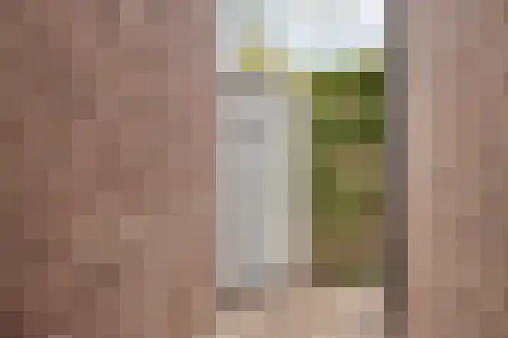 Voordoel 25 Nieuw-Beijerland thumbnail 32