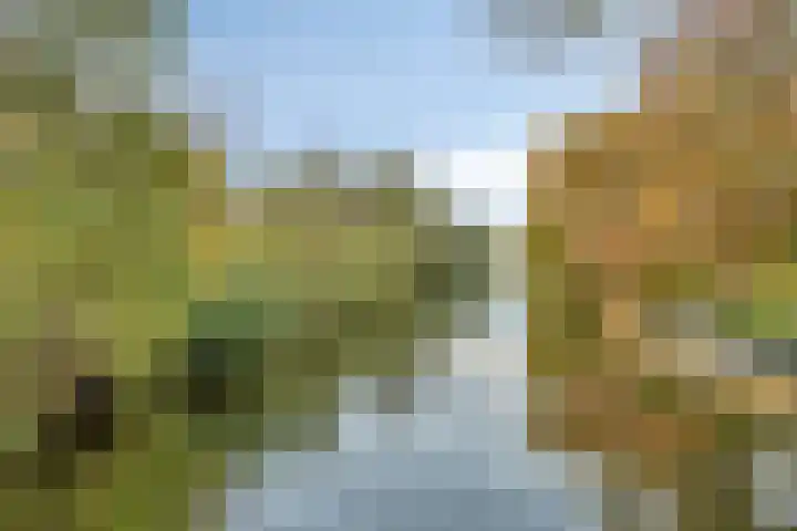 Voordoel 25 Nieuw-Beijerland thumbnail 33