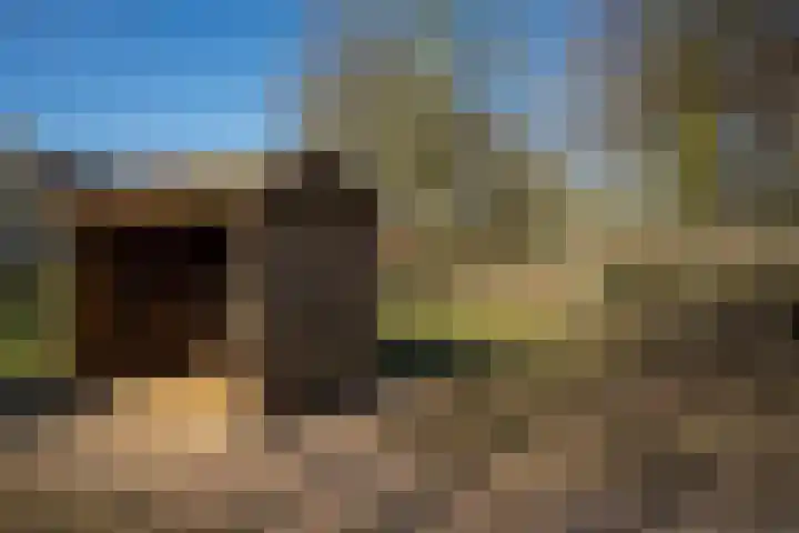 Voordoel 25 Nieuw-Beijerland thumbnail 34