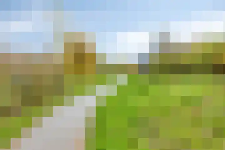 Voordoel 25 Nieuw-Beijerland thumbnail 36