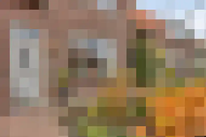 Voordoel 25 Nieuw-Beijerland thumbnail 7