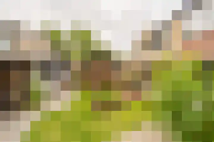 Voordoel 37 Nieuw-Beijerland thumbnail 34