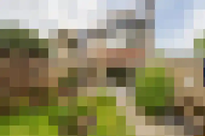 Voordoel 37 Nieuw-Beijerland thumbnail 35