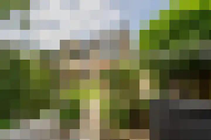 Voordoel 37 Nieuw-Beijerland thumbnail 37