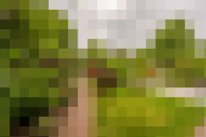 Voordoel 37 Nieuw-Beijerland thumbnail 38