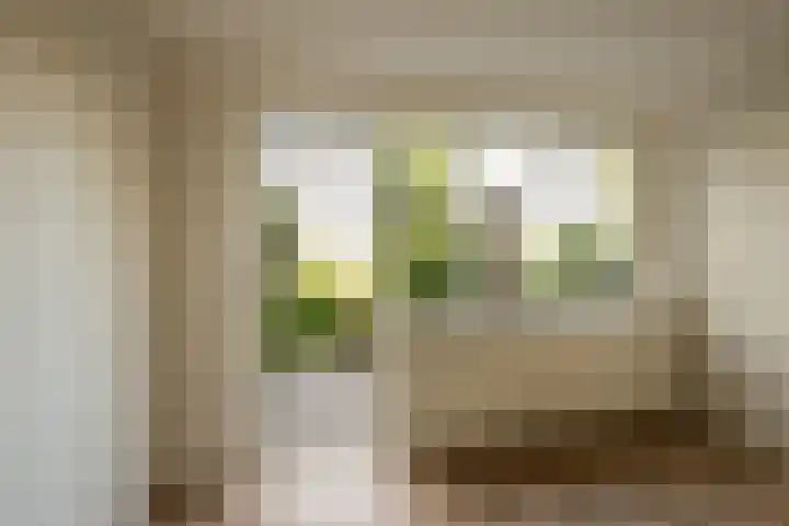 Voordorp 1 Leiderdorp thumbnail 16