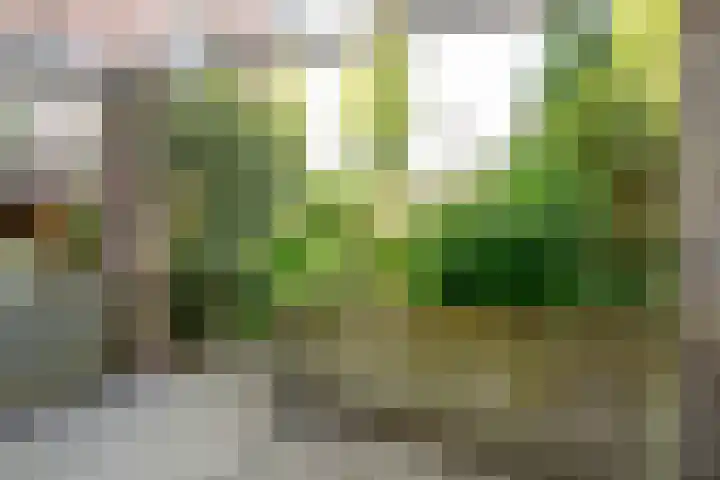 Voordorp 1 Leiderdorp thumbnail 17
