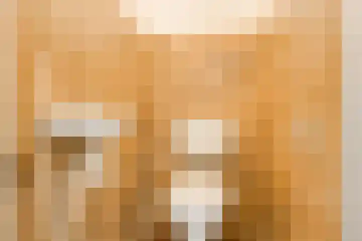 Voordorp 1 Leiderdorp thumbnail 7