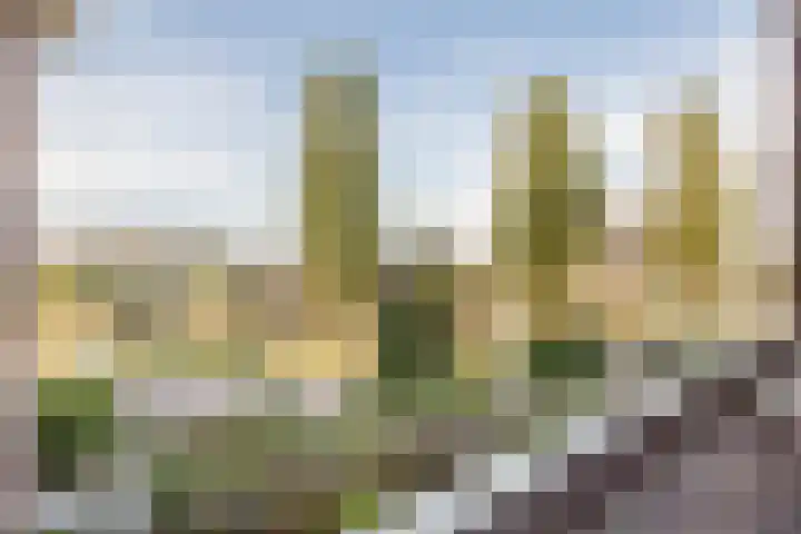 Voordorp 19 Leiderdorp thumbnail 18