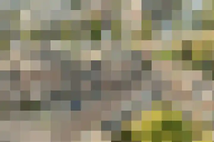 Voordorp 19 Leiderdorp thumbnail 34