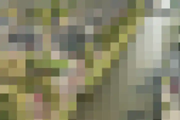 Voordorp 19 Leiderdorp thumbnail 35