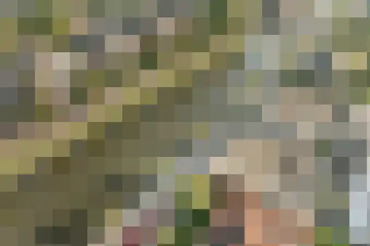 Voordorp 19 Leiderdorp thumbnail 36