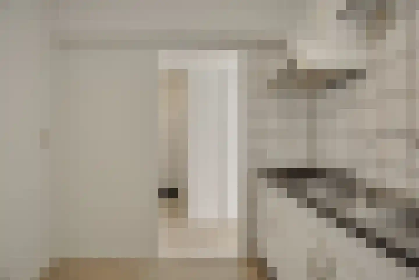 Voordorp 52 Leiderdorp thumbnail 13