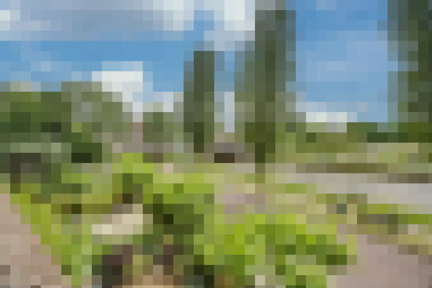 Voordorp 52 Leiderdorp thumbnail 24