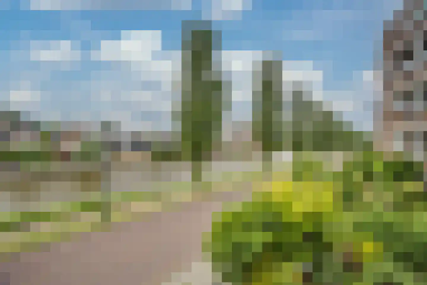 Voordorp 52 Leiderdorp thumbnail 26