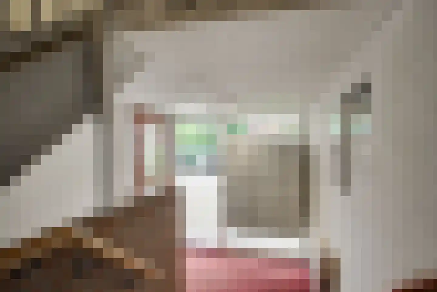 Voordorp 52 Leiderdorp thumbnail 7