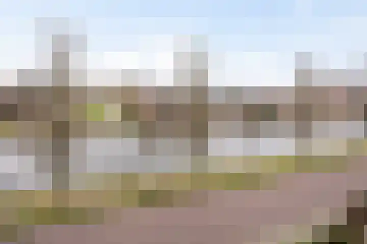 Voordorp 59 Leiderdorp thumbnail 16